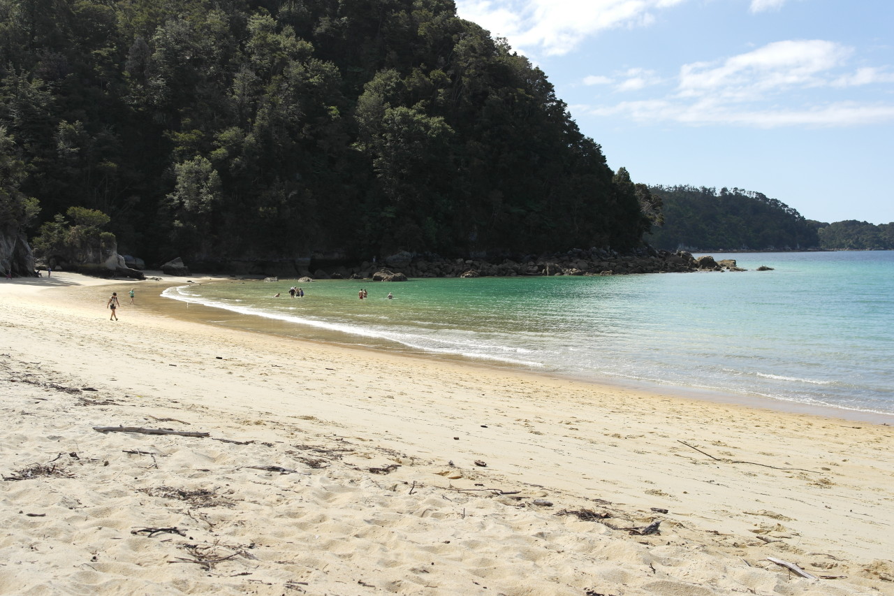 022 Abel Tasman Anchorage Bay Swimming