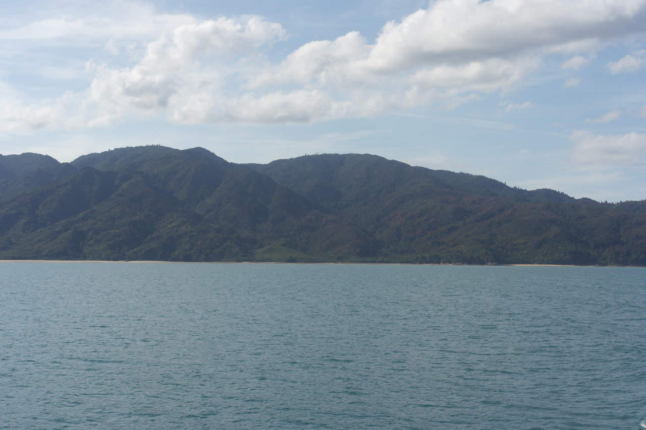 022 Abel Tasman Water Taxi Back Beach Mountains Rata Trees