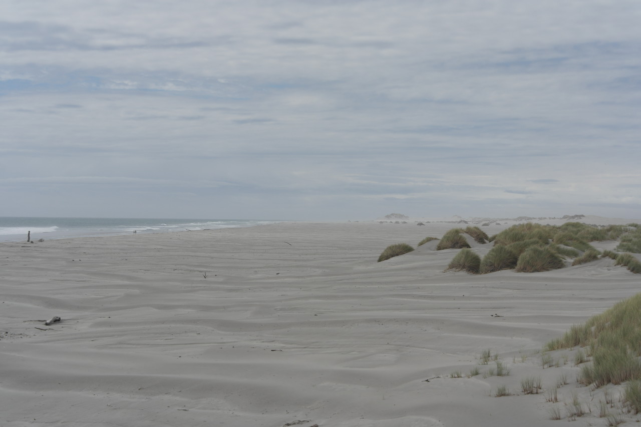 Durch den Wind wird viel Sand aufgewirbelt und es entsteht der Eindruck, dass der Spit gar nicht aufhört.