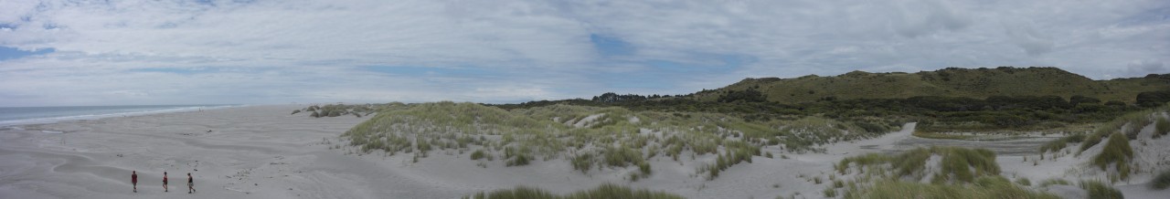 023 Farewell Spit Dunes Pano