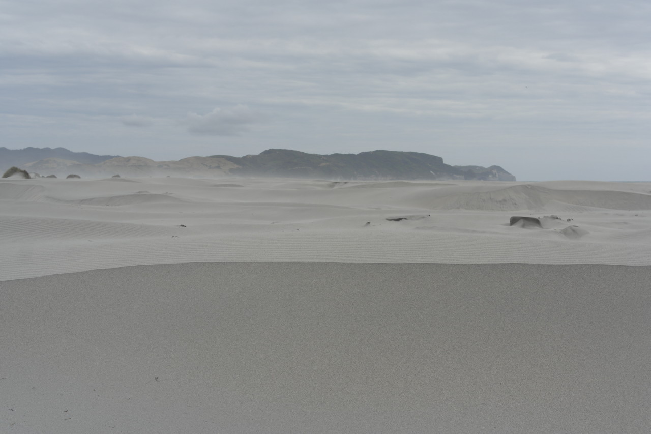 Vom Querweg durch die Dünen zurück zu Cape Farewell.