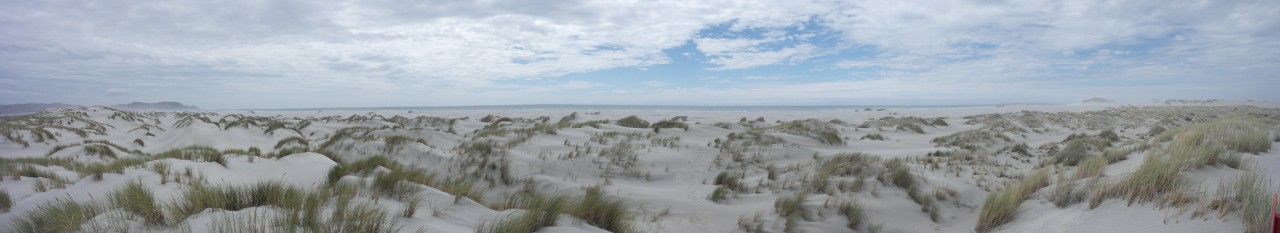 023 Farewell Spit In Dunes Pano Towards Sea