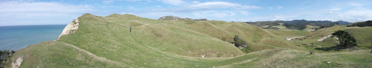 023 Farewell Spit Cape Cliffs Inland Green Pano