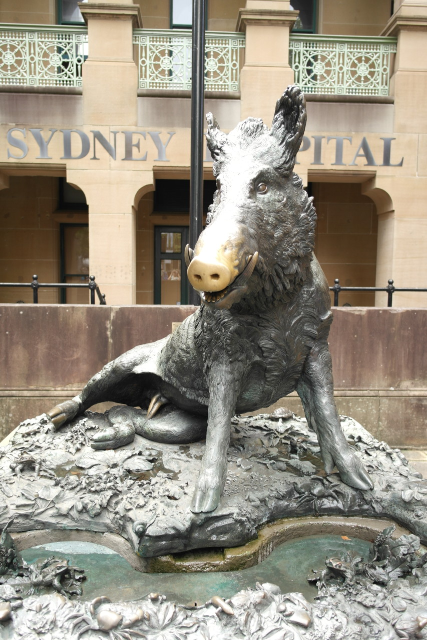 Vor dem Sydney "Rum Hospital" steht dieses Wildschwein. Wer an seiner Nase rubbelt, kann auf Glück hoffen. Ganz offensichtlich rubbeln einige nicht nur an der Nase... ;-)